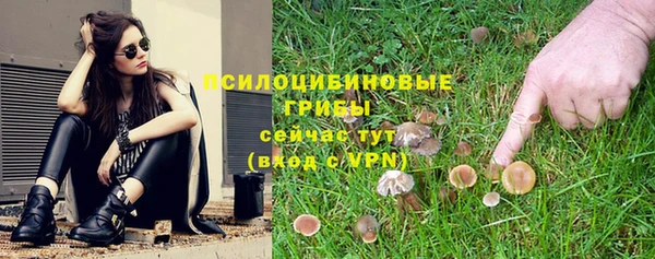 мескалин Нязепетровск