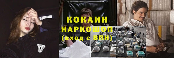стафф Няндома