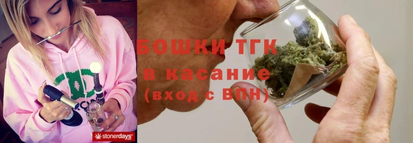 стафф Няндома
